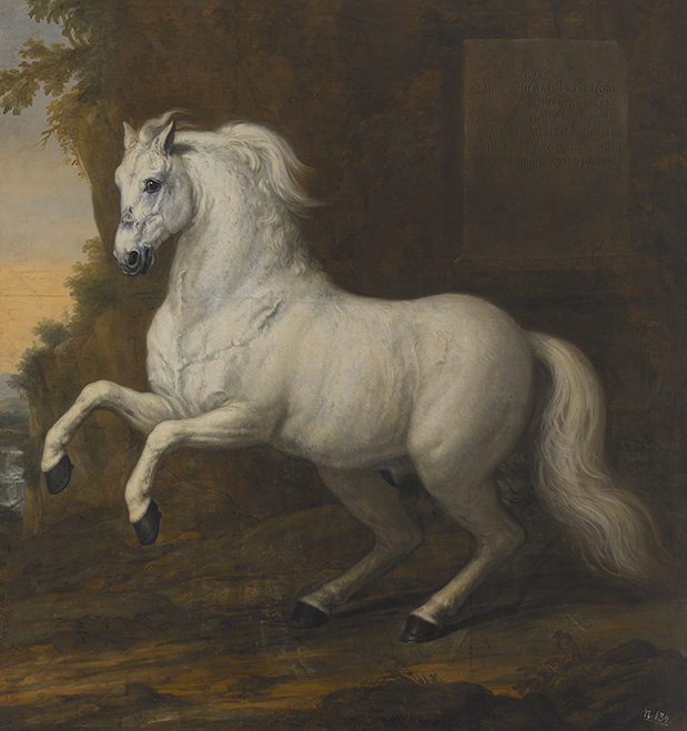 Karl XIs häst Kortom